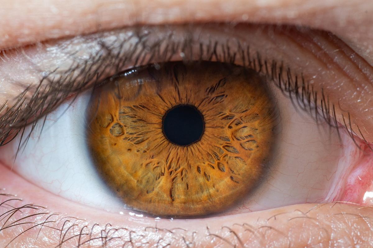 Iris & Lens Studio — Bombay Beauty